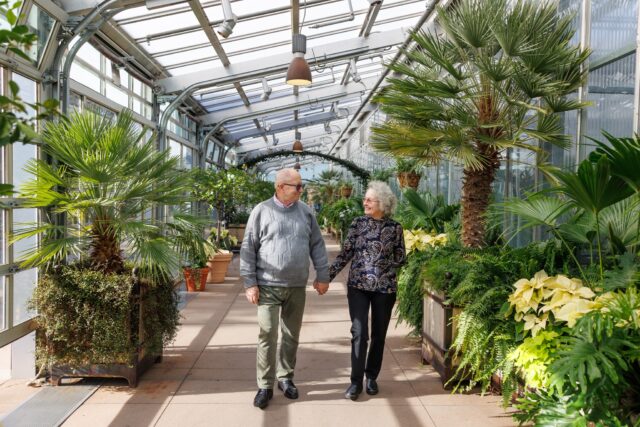 Fifty years together- To the happy couple on their golden anniversary !
.
.
.
#50aniversary  #denverfamilyphotographer #botanicalgardensphotography